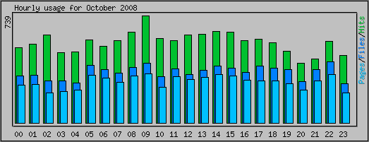 Hourly usage