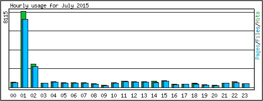 Hourly usage