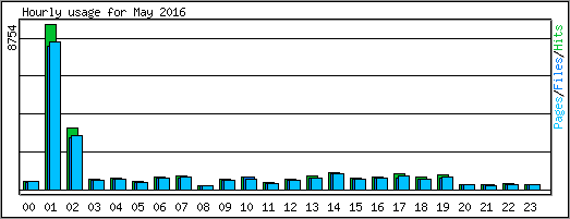 Hourly usage