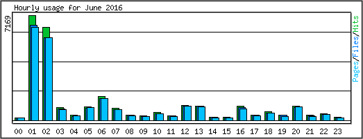 Hourly usage