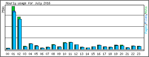 Hourly usage