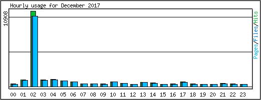 Hourly usage